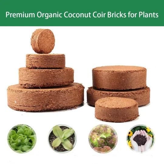 Organic Coconut Coir for Plants Pack of 2 - Moby Mart