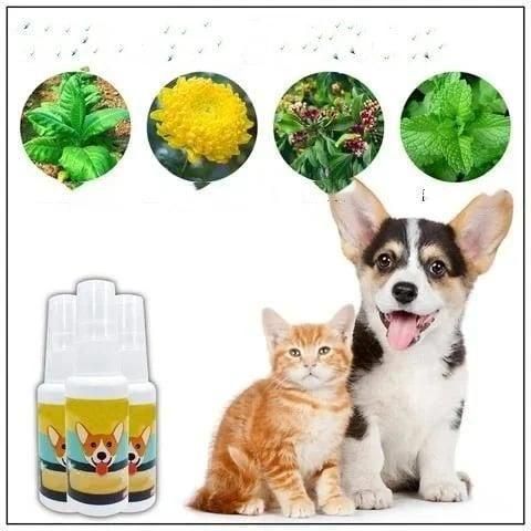 Natural Potty Training Spary for Dog & Cat (Pack of 2) 30ml each - Moby Mart