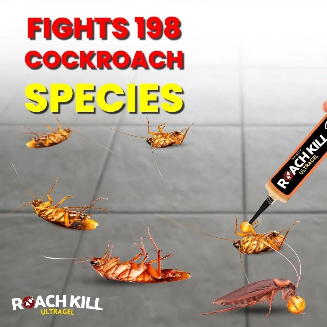 Roach Kill Ultragel Pack of 2 - Moby Mart