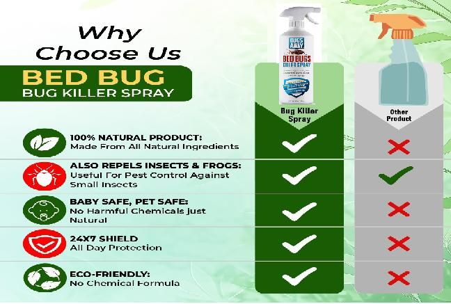 Bedbug killer spray Non-Toxic Pack of 1 (200 ml ) - Moby Mart