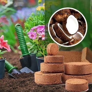 Organic Coconut Coir for Plants Pack of 2 - Moby Mart