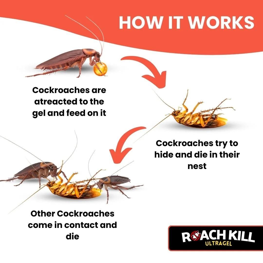 Roach Kill Ultragel Pack of 2 - Moby Mart