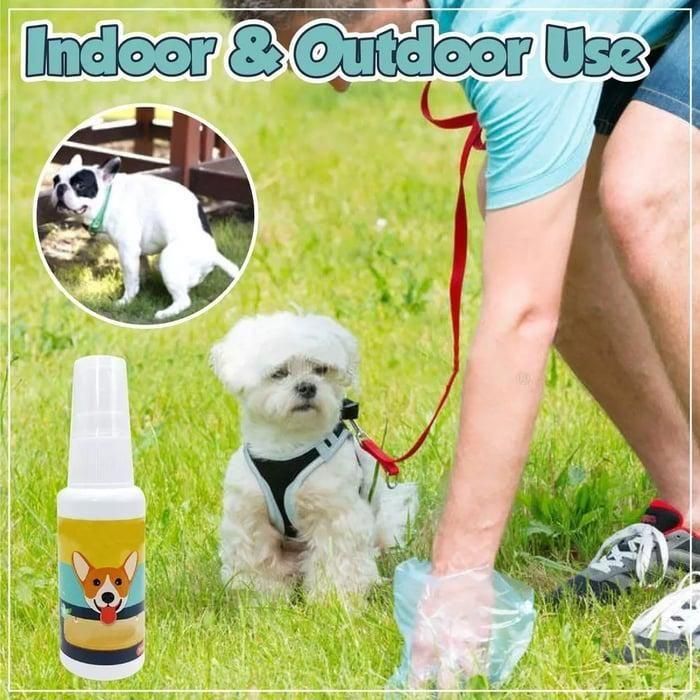 Natural Potty Training Spary for Dog & Cat (Pack of 2) 30ml each - Moby Mart